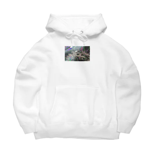 あの日撮ったブレブレ桜風景 Big Hoodie