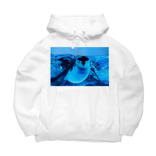 ヒゲペンギン　写真　リアル Big Hoodie