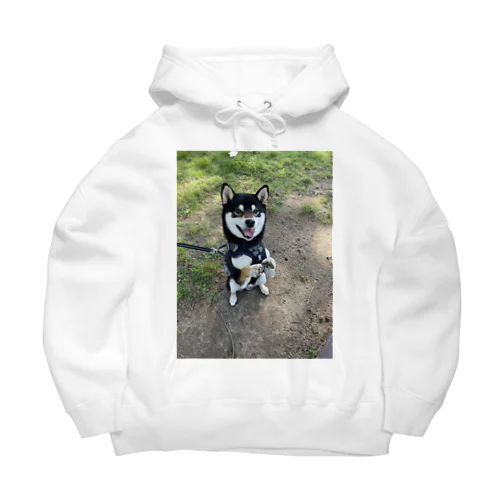 shibainu2 Big Hoodie