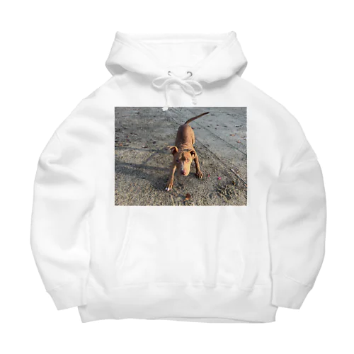 アメリカンピットブルテリア Big Hoodie