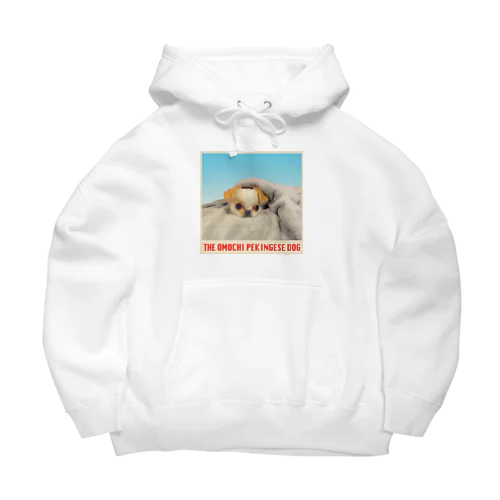 the pekingese dog Big Hoodie