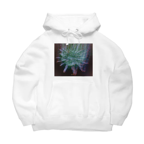 花火 Big Hoodie