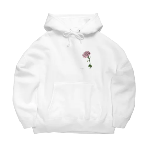 Absolutely Imagination Big Hoodie