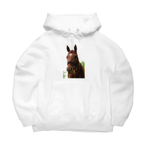 牧場 乗馬 馬術の馬 Big Hoodie