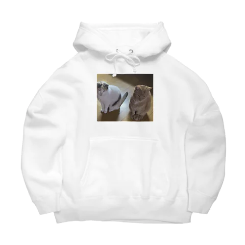 気まずい猫 Big Hoodie