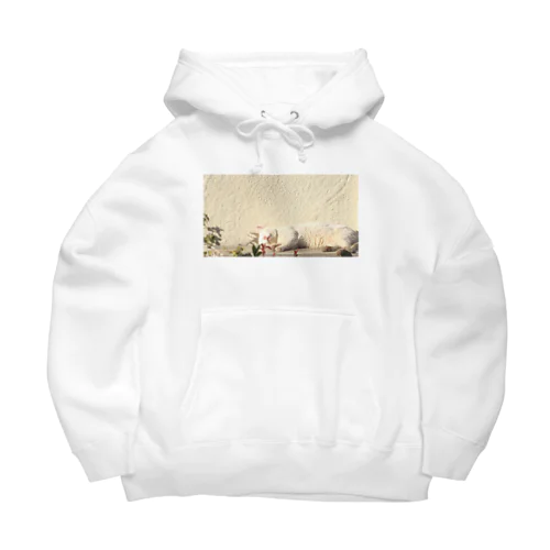 猫お昼寝 Big Hoodie