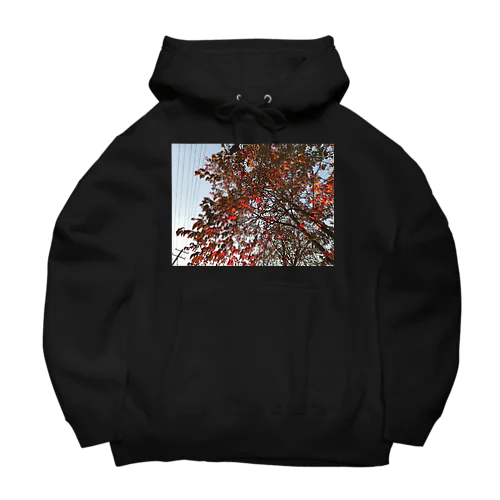 201910181619002　桜の紅葉 Big Hoodie