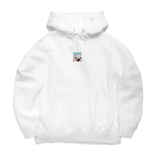 coothef Big Hoodie