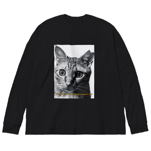 伝えたい事が沢山あるんだ Big Long Sleeve T-Shirt