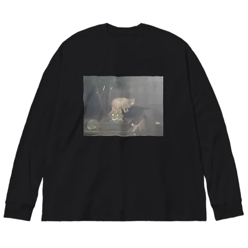 祖母んちによく来る野良猫 Big Long Sleeve T-Shirt