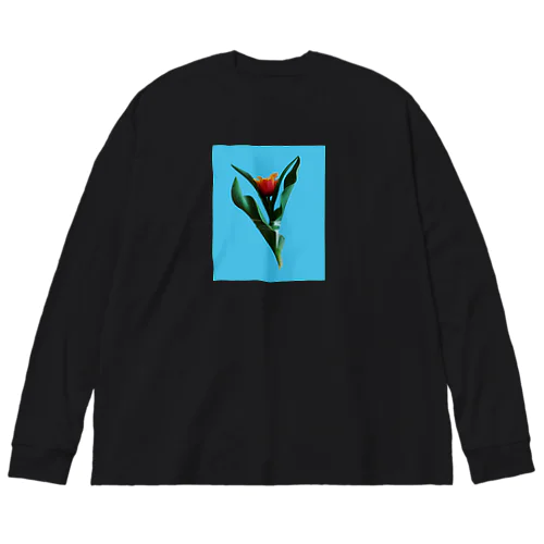 Tulipa cv. lambada Big Long Sleeve T-Shirt