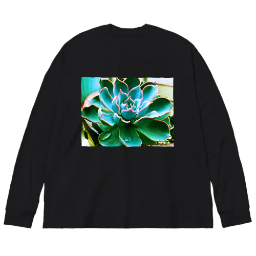 エケベリア－TFNT Big Long Sleeve T-Shirt