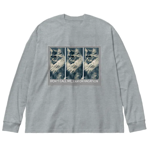 メインクーンのひめちゃん Big Long Sleeve T-Shirt