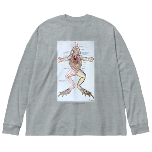 カエルの解剖 ビッグシルエットロングスリーブTシャツ