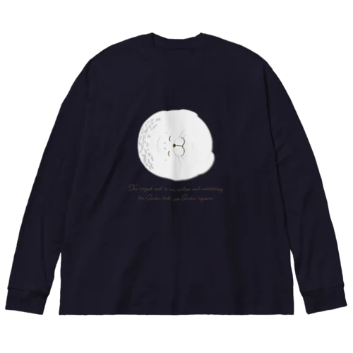 スヤスヤ ワモンアザラシ sleeping ringed seal Big Long Sleeve T-Shirt