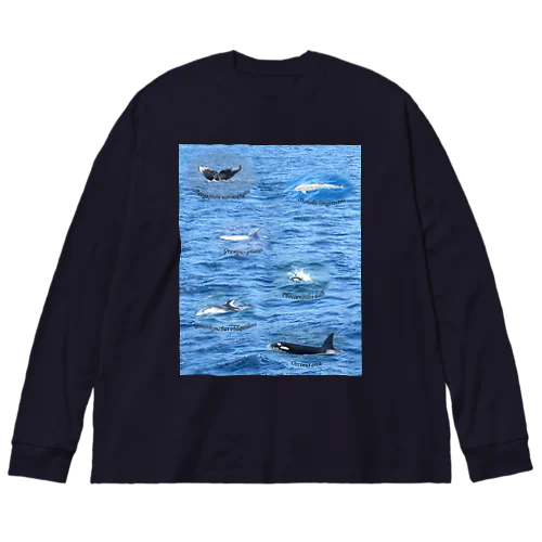 船上から見た鯨類(1) Big Long Sleeve T-Shirt