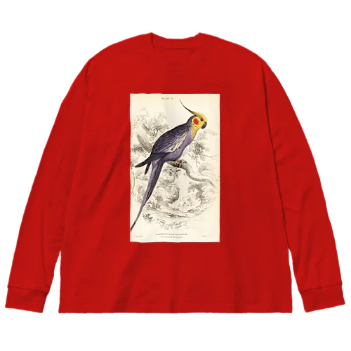 博物画　オカメインコ ビッグシルエットロングスリーブTシャツ