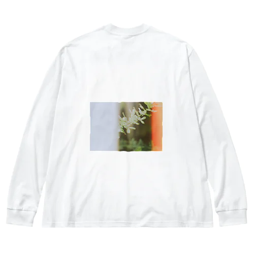 フィルム写真 Big Long Sleeve T-Shirt