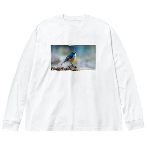 ルリビタキ（学名入り） Big Long Sleeve T-Shirt