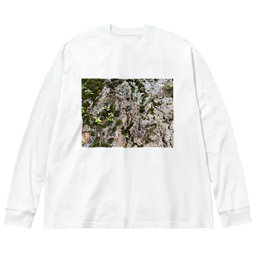 苔 Big Long Sleeve T-Shirt