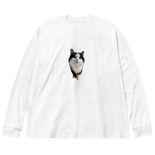 ﾌﾝｽｯきょうちゃん文字なしver. Big Long Sleeve T-Shirt