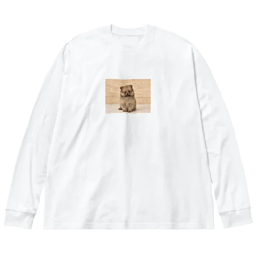 ポメラニアンのつくね ビッグシルエットロングスリーブTシャツ