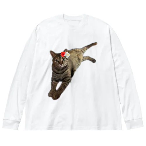 脱走犯その名はダリル。友達の猫シリーズ。 Big Long Sleeve T-Shirt