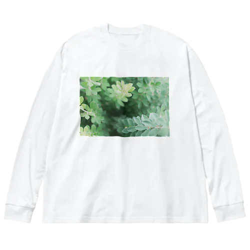 花壇の植物 ビッグシルエットロングスリーブTシャツ