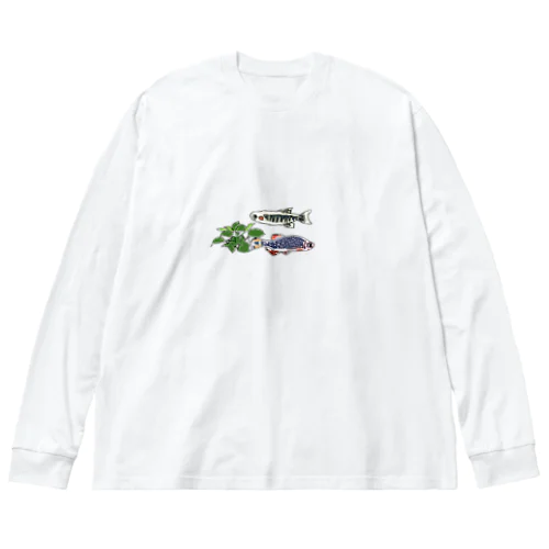 Perfectミクロラスボラハナビさん＆ミクロラスボラエリスロミクロンさん Big Long Sleeve T-Shirt