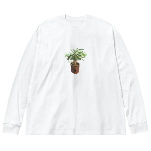 Pachypodium densiflorum Big Long Sleeve T-Shirt