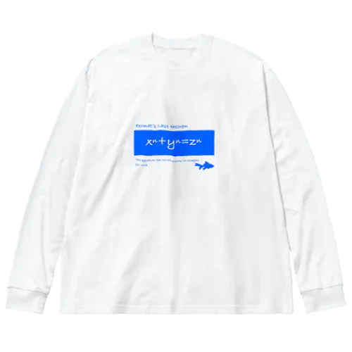 フェルマーの最終定理 Big Long Sleeve T-Shirt