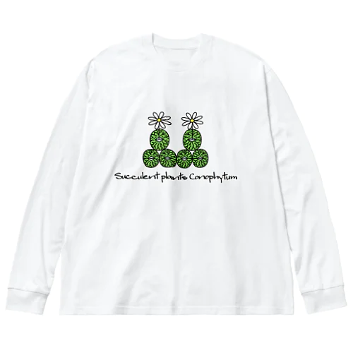 多肉植物 コノフィツム ウィッテベルゲンセ Succulent plants Conophytum Wittebergense イラスト ビッグシルエットロングスリーブTシャツ