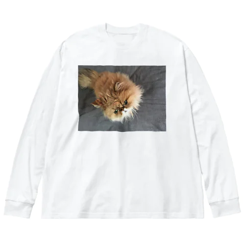 ぶちゃ猫・茶々丸 ビッグシルエットロングスリーブTシャツ