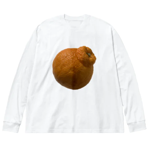 デコポン Big Long Sleeve T-Shirt