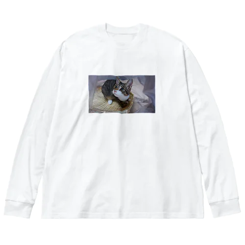 アイドルにごたん Big Long Sleeve T-Shirt