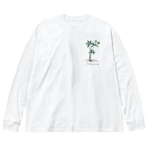 クリスマスローズ - アサギフユボタン Big Long Sleeve T-Shirt