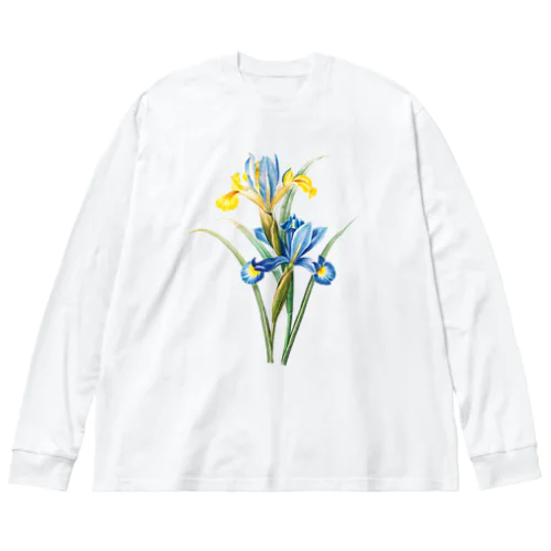 スパニッシュ・アイリス Big Long Sleeve T-Shirt