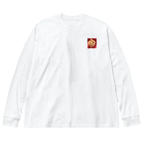 【うーちゃん】　うーちゃんとのファーストコンタクト。 Big Long Sleeve T-Shirt