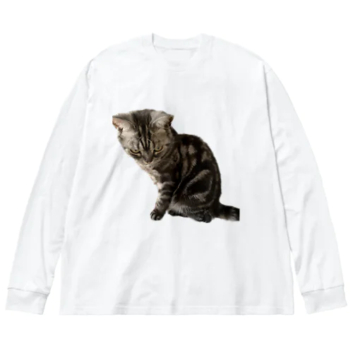 アメショーのひめちゃん⑦ Big Long Sleeve T-Shirt