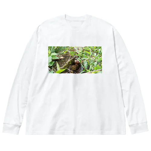 自然豊か Big Long Sleeve T-Shirt