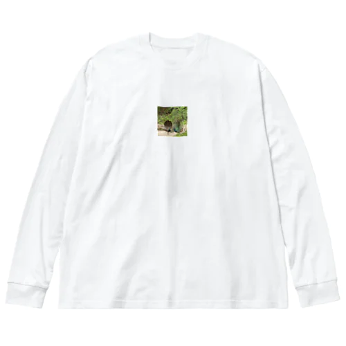 自然な色彩 Big Long Sleeve T-Shirt