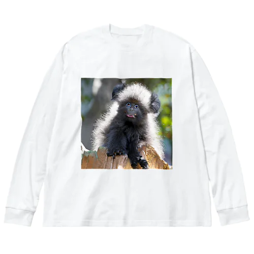 珍しい動物 ビッグシルエットロングスリーブTシャツ