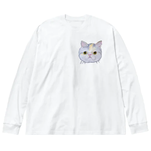 チョークアートのエキゾチックショートヘア😺 Big Long Sleeve T-Shirt