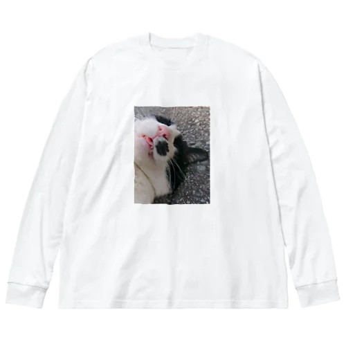 うちの子シリーズ　眠れるぽく Big Long Sleeve T-Shirt