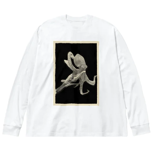 madako.com Big Long Sleeve T-Shirt