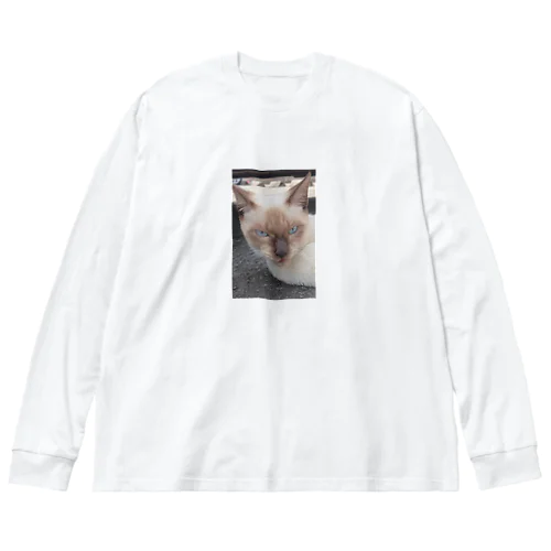 悪そうなのにカワイイ猫ちゃん ビッグシルエットロングスリーブTシャツ