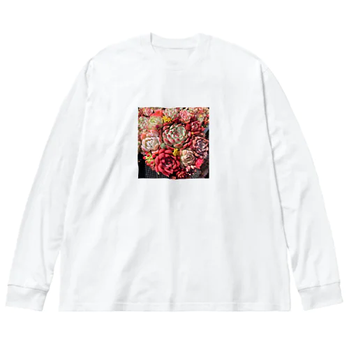 華やかなエケベリア ビッグシルエットロングスリーブTシャツ