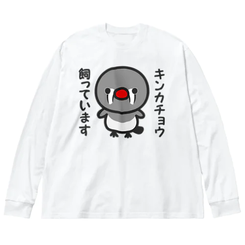 キンカチョウ飼っています（メス） ビッグシルエットロングスリーブTシャツ