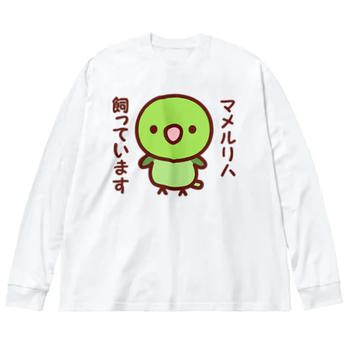 マメルリハ飼っています（ノーマル/メス） Big Long Sleeve T-Shirt