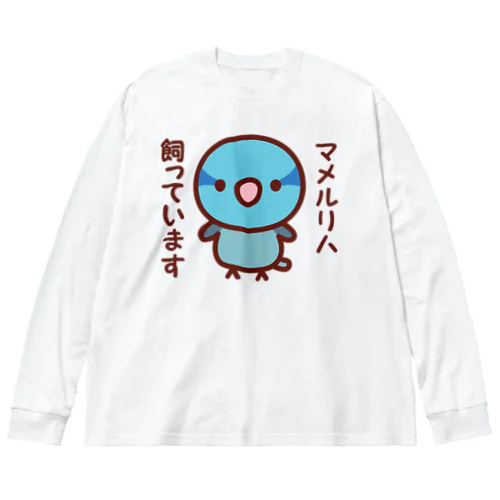 マメルリハ飼っています（ブルー/オス） Big Long Sleeve T-Shirt